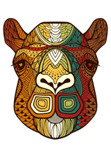 Nomadic Roots